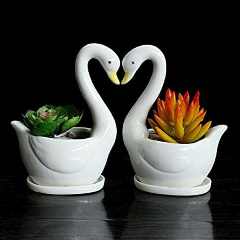 2pcs Swan White Ceramic Succulent Planter P
